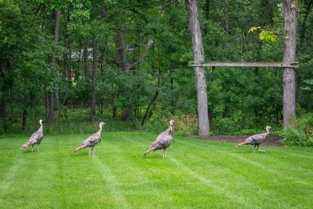 N70W26516 Wilderness WAY, Lisbon, WI 53089