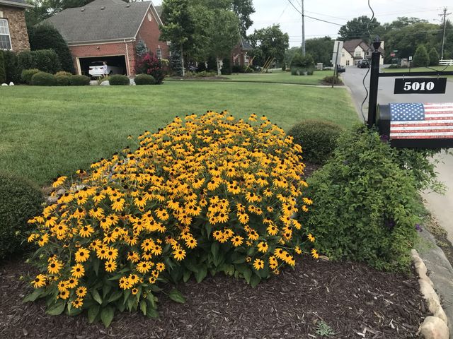 5010 Stonewood Dr, Smyrna, TN 37167