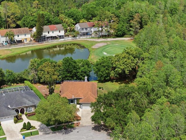 4401 KETTLE CREEK COURT, Tampa, FL 33624