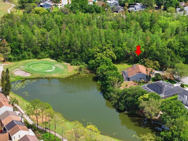 4401 KETTLE CREEK COURT, Tampa, FL 33624