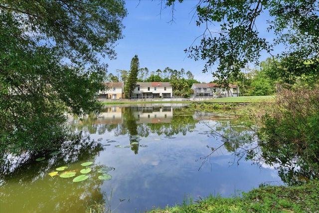 4401 KETTLE CREEK COURT, Tampa, FL 33624