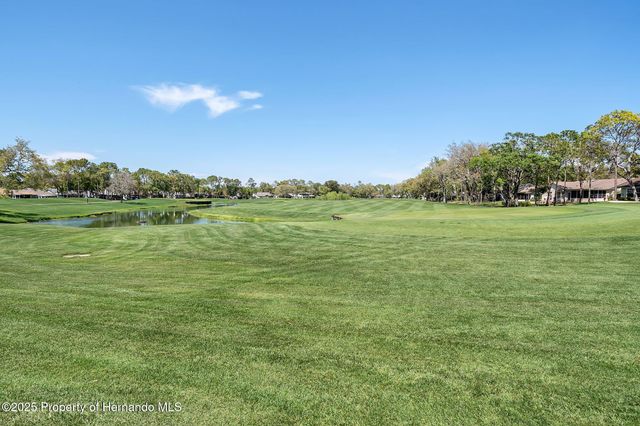 2692 Royal Ridge Drive, Spring Hill, FL 34606