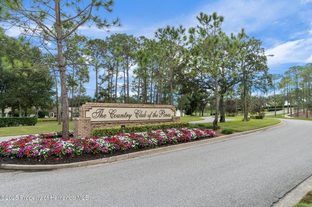 2692 Royal Ridge Drive, Spring Hill, FL 34606