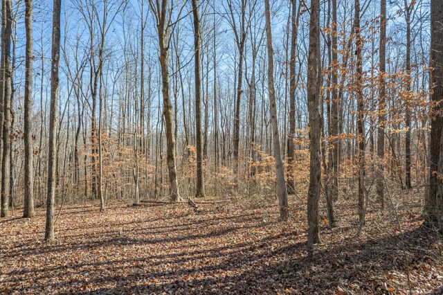 32 Periwinkle Path, Leoma, TN 38468