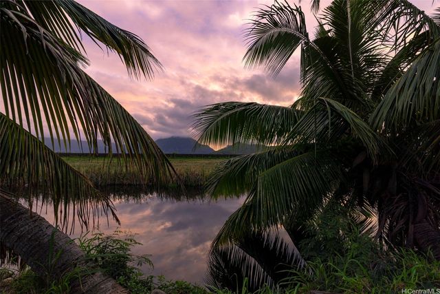 221 Kihapai Street 2, Kailua, HI 96734