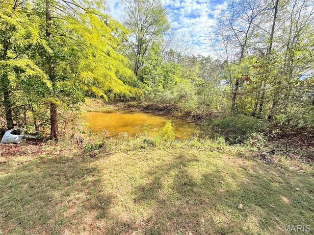 212 Wayne 522, Wappapello, MO 63966