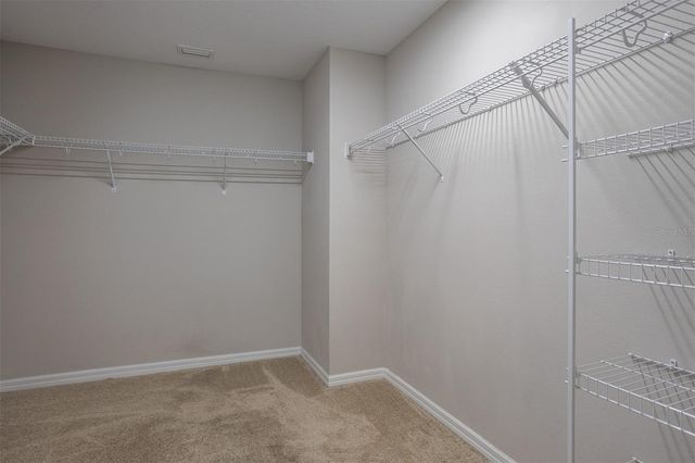 12619 HAMMOCK PARK DRIVE, Riverview, FL 33579