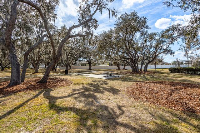 12619 HAMMOCK PARK DRIVE, Riverview, FL 33579