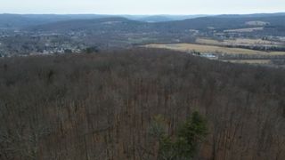 0 Pine Hill Road, Sidney, NY 13838