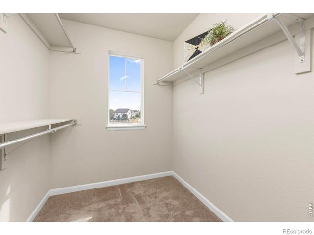 2968 William Neal Parkway, Fort Collins, CO 80525