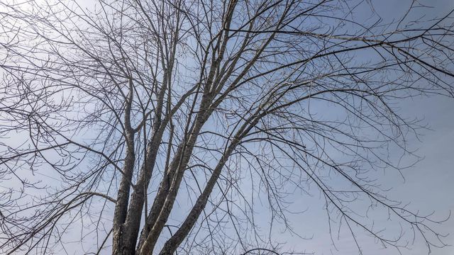 2725 County Road 1990, Willow Springs, MO 65793