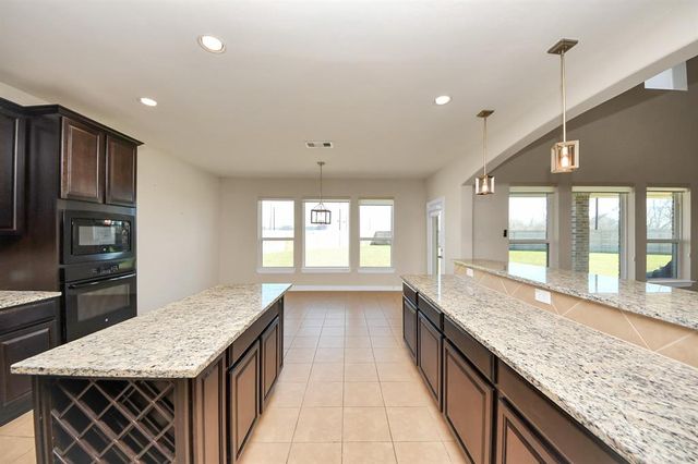 9939 Clear Diamond Drive, Rosharon, TX 77583