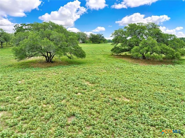 1494 County Road 433, Stockdale, TX 78160