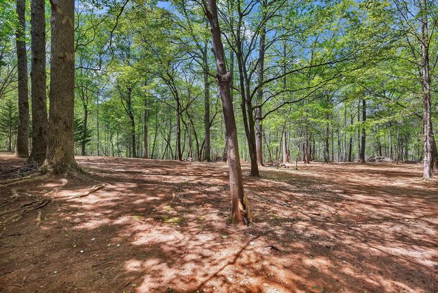 703 Burnt Tanyard Road, Salem, SC 29676