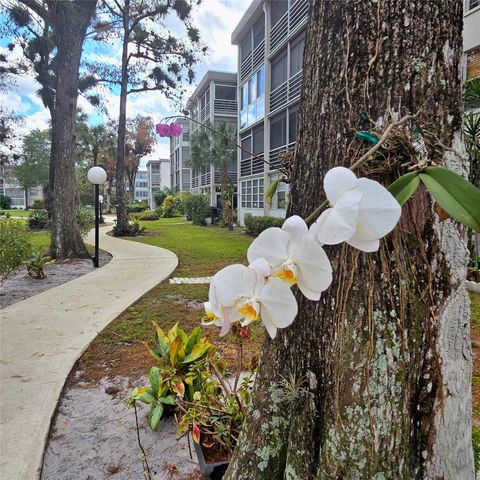 4898 NW 29th Court 412, Lauderdale Lakes, FL 33313