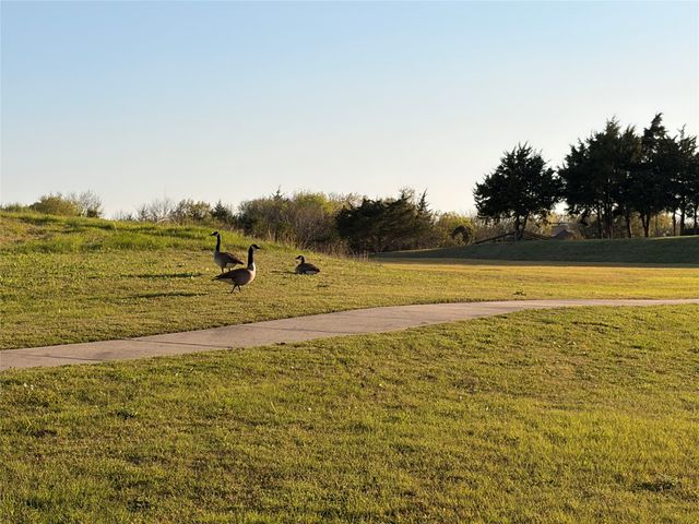 4405 Wolf Court, Mckinney, TX 75071