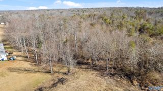 Tract B County Road 784, Ider, AL 35981