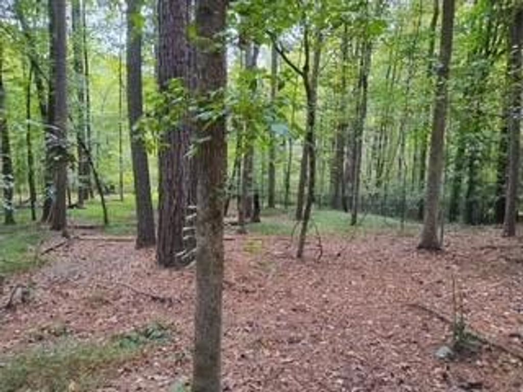 Image 59 of property listing at 0 Old Southwick Pass, Johns Creek, GA 30022