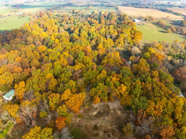 19476 Highway Zz, Aurora, MO 65605