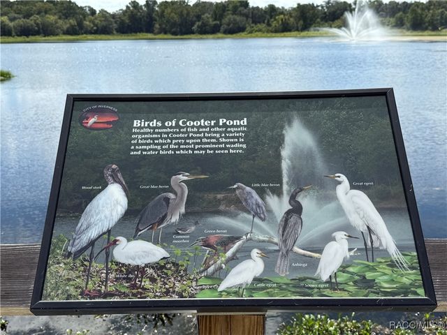326 W Homeway Loop, Citrus Springs, FL 34434