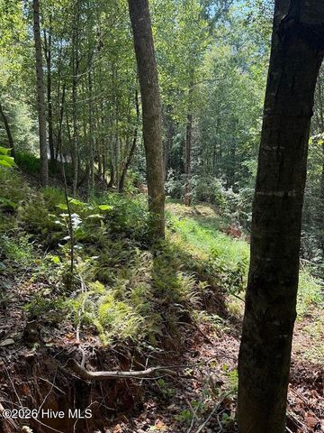Lots 5 & 6 Jasmine Drive, Marble, NC 28905