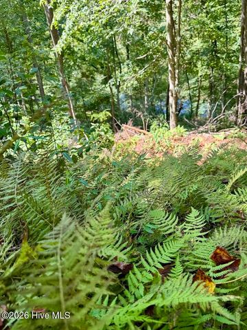 Lots 5 & 6 Jasmine Drive, Marble, NC 28905