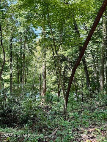 Lots 5 & 6 Jasmine Drive, Marble, NC 28905