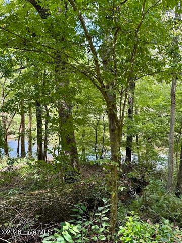 Lots 5 & 6 Jasmine Drive, Marble, NC 28905