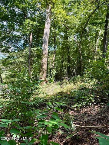 Lots 5 & 6 Jasmine Drive, Marble, NC 28905