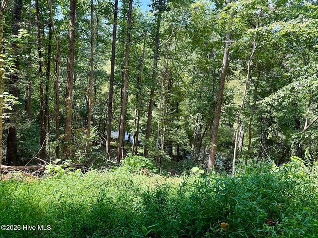 Lots 5 & 6 Jasmine Drive, Marble, NC 28905