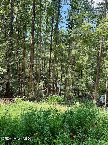 Lots 5 & 6 Jasmine Drive, Marble, NC 28905