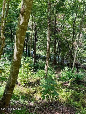 Lots 5 & 6 Jasmine Drive, Marble, NC 28905