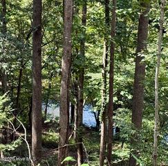 Lots 5 & 6 Jasmine Drive, Marble, NC 28905