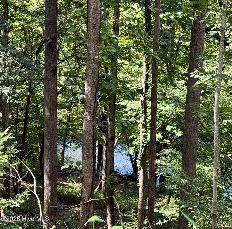 Lots 5 & 6 Jasmine Drive, Marble, NC 28905