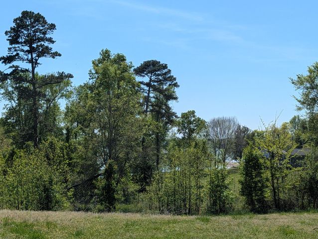 2285 Euchee Chapel Road, Spring City, TN 37381