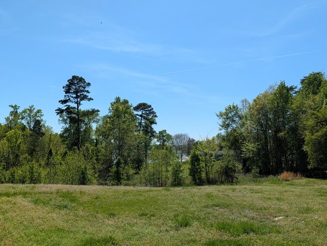 2285 Euchee Chapel Road, Spring City, TN 37381