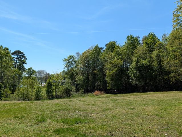 2285 Euchee Chapel Road, Spring City, TN 37381