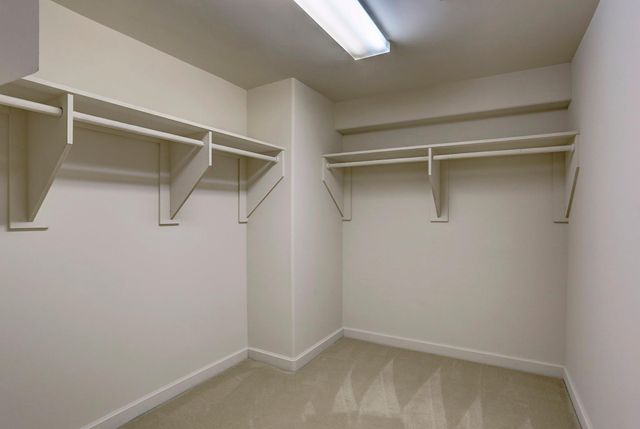 914 Main St Street 1113, Houston, TX 77002