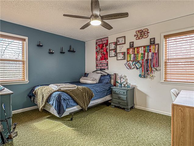 216 MC 8077, Flippin, AR 72634