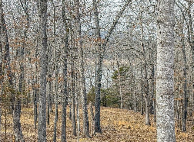 216 MC 8077, Flippin, AR 72634