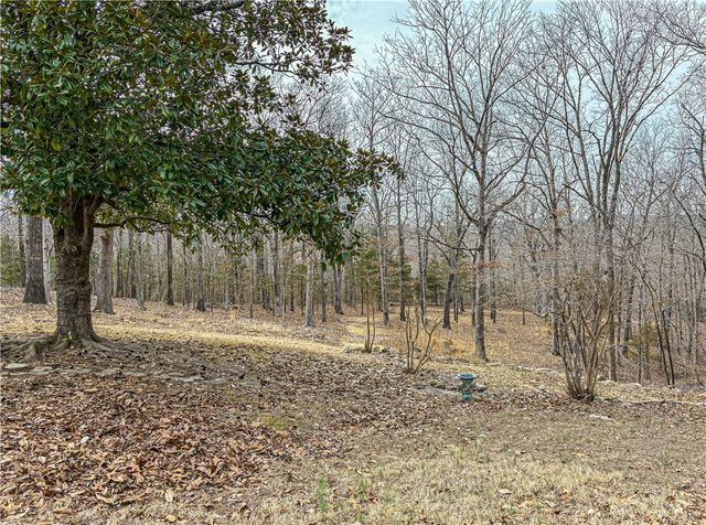 216 MC 8077, Flippin, AR 72634