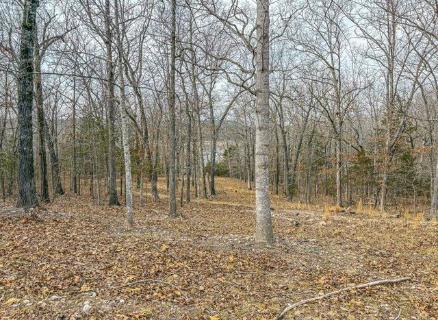 216 MC 8077, Flippin, AR 72634