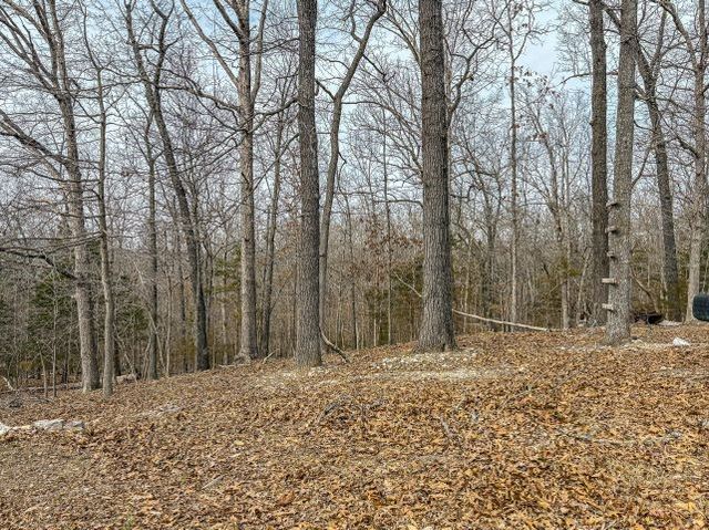 216 MC 8077, Flippin, AR 72634