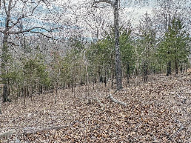 216 MC 8077, Flippin, AR 72634