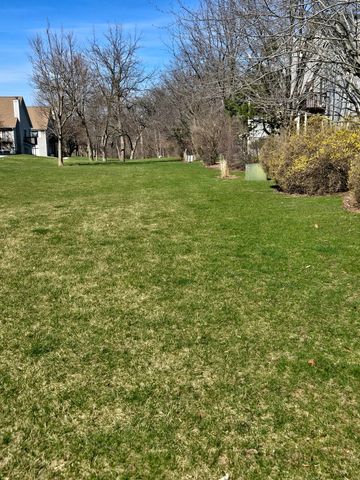 308 Windsor Court C, South Elgin, IL 60177