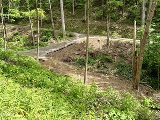 807 Old New Ground Road, Gatlinburg, TN 37738