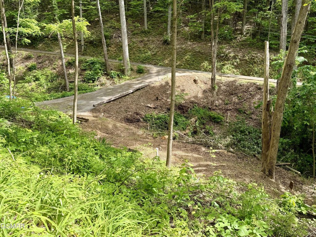 807 Old New Ground Road, Gatlinburg, TN 37738