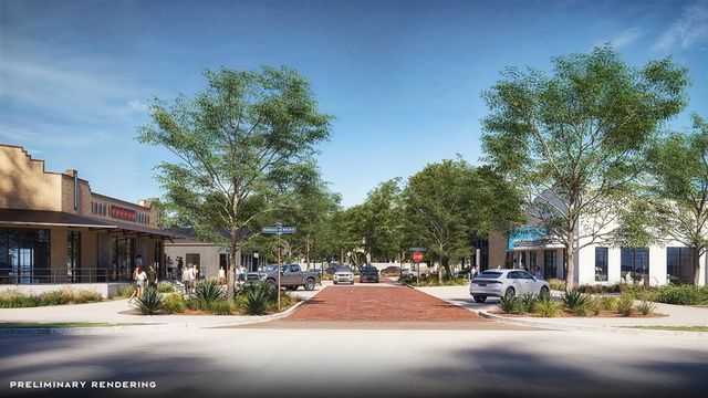 41711 Big Red Drive, Montgomery, TX 77316