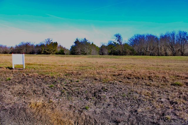 LOT 48 Triangle Shores, Corsicana, TX 75109