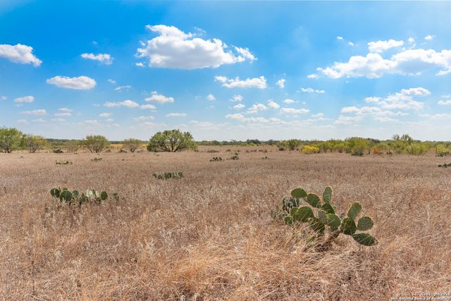 2849 Fm 1333, Poteet, TX 78065